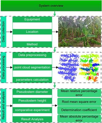 A method for measuring banana pseudo-stem phenotypic parameters based on handheld mobile LiDAR and IMU fusion